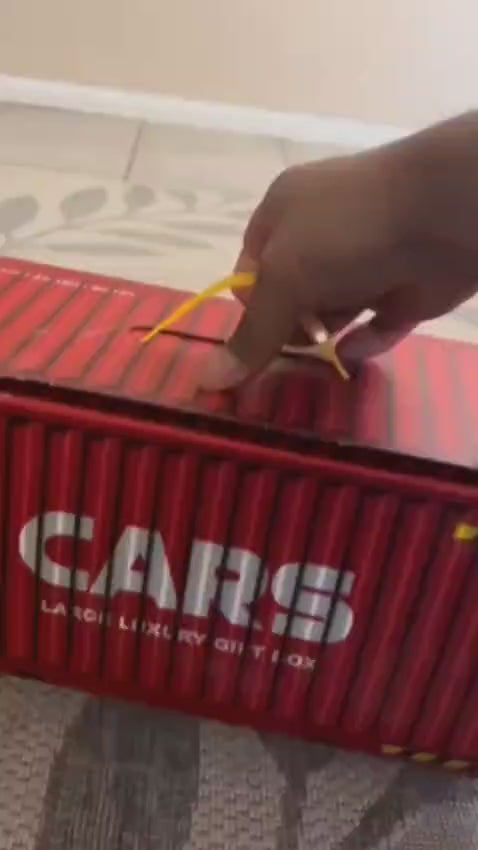 48 piece car Container